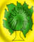 Retour � la page d'accueil